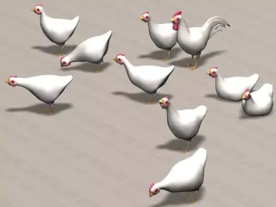 Chicken Ranch - Rooster and 9 Posed Hens - White  -  3D model