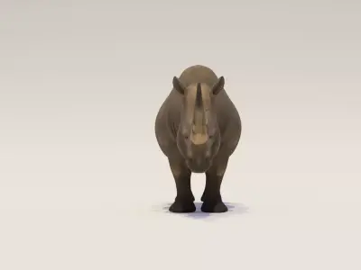 Rhinoceros Low-poly 3D model Low-poly 3D model