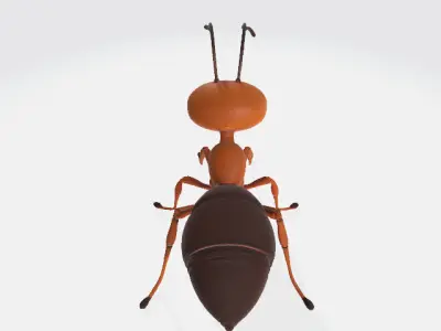 Cartoon ant Low-poly 3D model