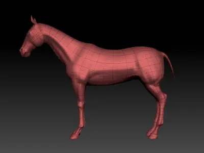 Horse animal steed Tpose land ride cavalry donkey mule racing 3D model