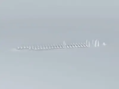 Boeing 737 800 Free 3D model