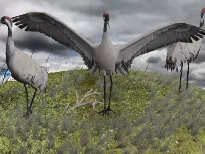 Crane package Low-poly 3D model