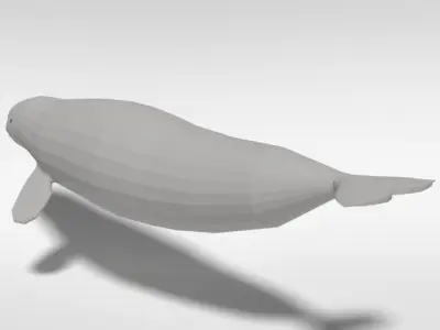 Low Poly Cartoon Beluga Whale Low-poly 3D model