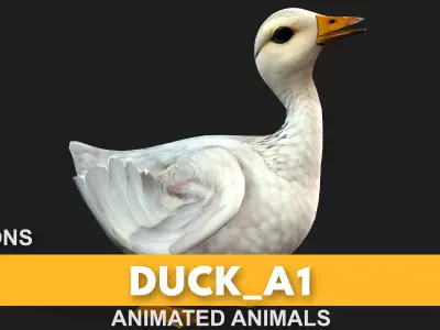 Duck A1 Free 3D model