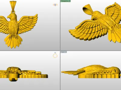Hawk hunting 2D print model  3D model