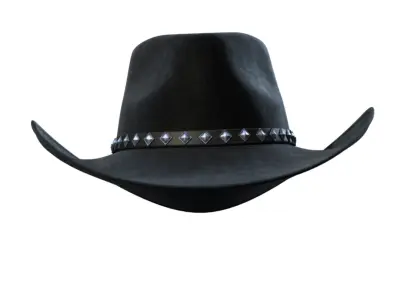 Cowboy Hat 3D model purchase