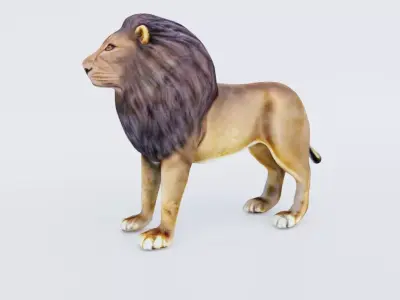 Lion Animal Free 3D model