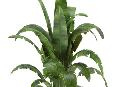 Indoor Plants in Ferm Living Bau Pot Large - Set01 3D model