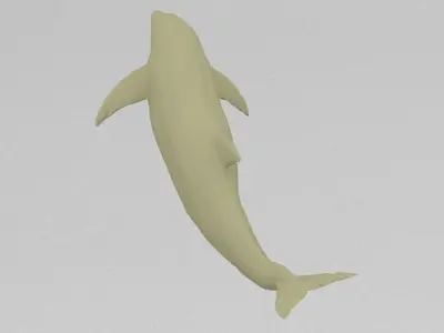 dolphin Free 3D print model