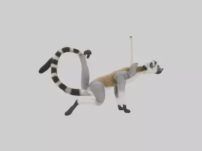 Endangered Lemur swinging model Low-poly 3D model