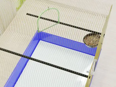 Bird Cage Free low-poly 3D model