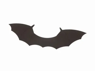 BatCat Wings 3D model