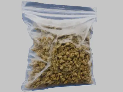 Cannabis Transparent plastic container Weed Bag CBD Hemp Low-poly 3D model