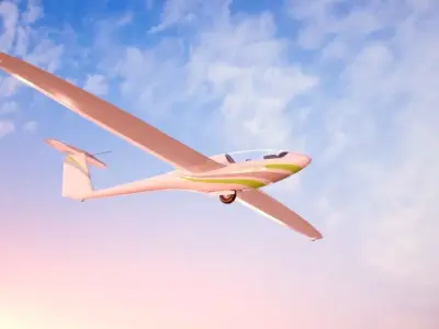 Alisport - Silent 2 electro - sailplane - glider - Game - Low-poly 3D model