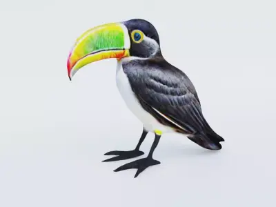 Toucan Free 3D model