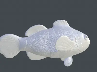 Clownfish High Detailed  3D model