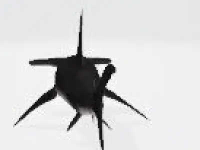 3D Hammerhead Shark Low-poly 3D model