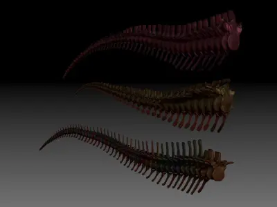 Dinosaur Spinosaurus Tyrannosaurus Giganotosaurus Tail Skeletons 3D model