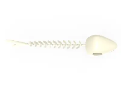 Fish bone v001 3D model