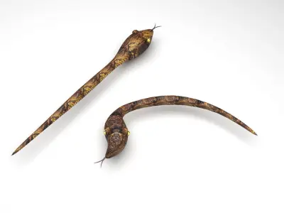 Snake With Straight Snake 3D model