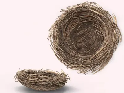 Bird Nest 3D model Low-poly 3D model