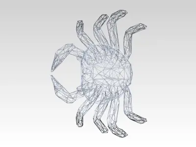 Crab Wireframe 3D model