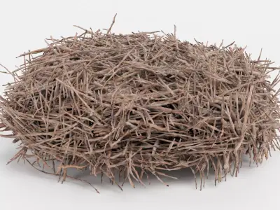 -Stork Nest- 3D model