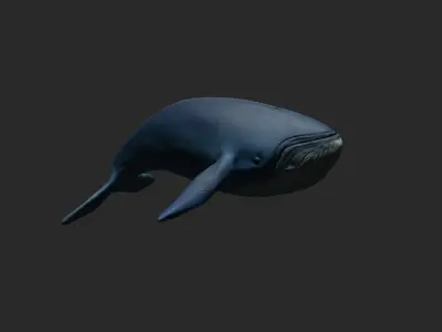 Mobile Game-Ready Low Poly Whale 3D Model Free low-poly 3D model