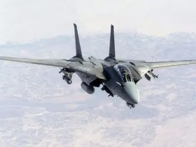 Grumman F-14 Tomcat 3D model