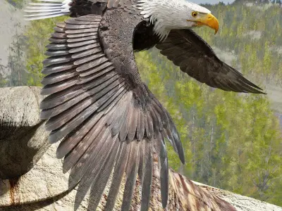 Bald Eagle - BLENDER Low-poly 3D model