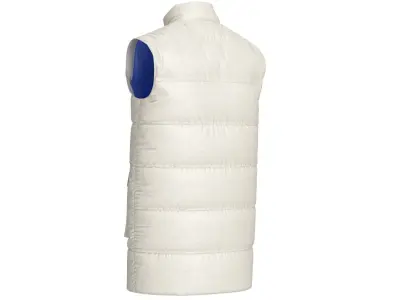 Camping Vest 3D model