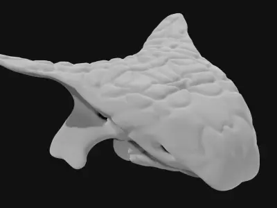Ankylosaurus skull 3D model