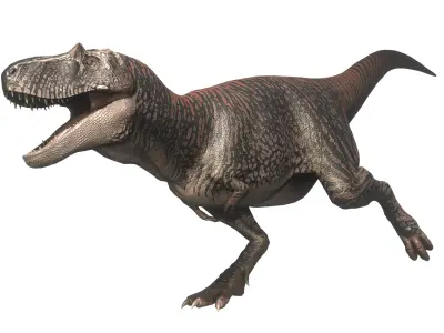 Albertosaurus Asset Pack Low-poly 3D model