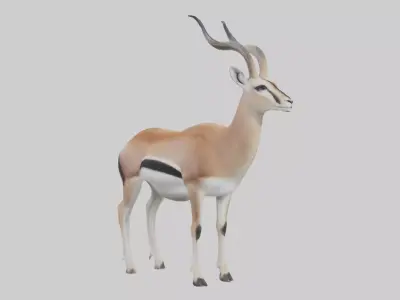 Spakes gazelle Low-poly 3D model