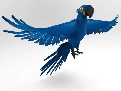Blue Bird Parrot  Low-poly 3D model