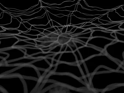 64 pcs Spider Web Asset pack Cobweb Net 3D model