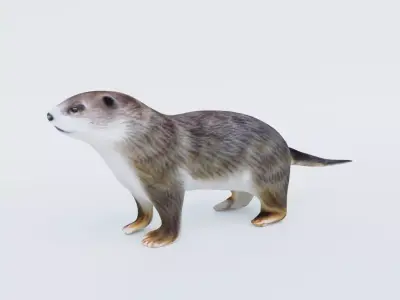 Otter Free 3D model
