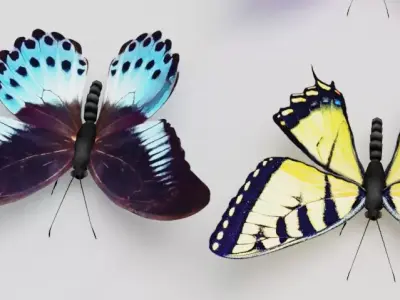 Butterfly model 3D model