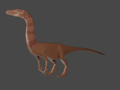 Coelophysis Low-poly 3D model