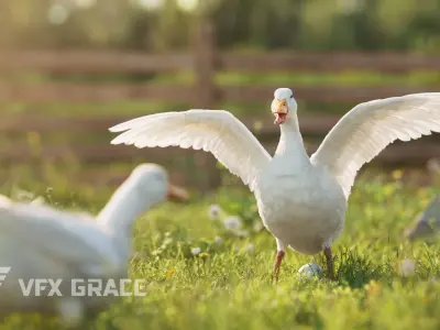 Duck Animated VFX Grace 3D model