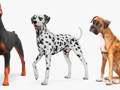 Dogs Collection 2 3D model