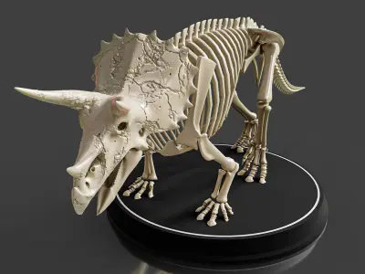 Triceratops Skeleton - Realistic Prehistoric Fossil 3D model