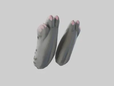 Cat Paws Model 3D model