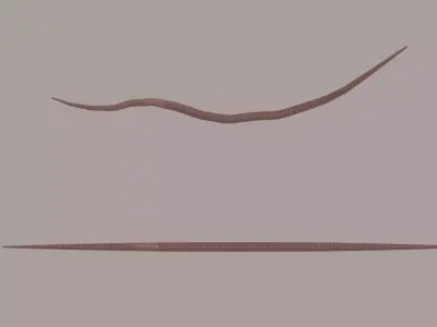 Worm model 3D model