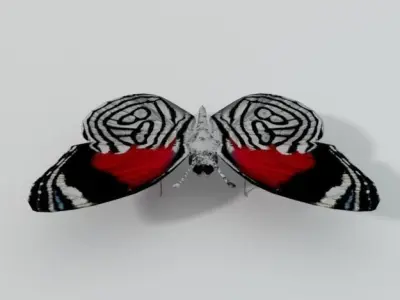 Butterfly 89 Low-poly 3D model