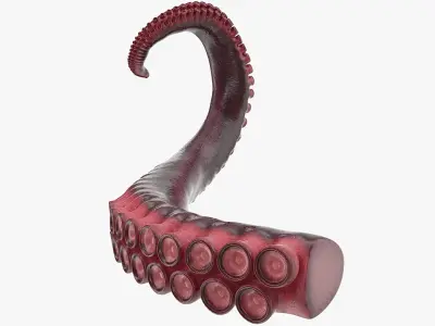 Octopus Tentacle 3D model purchase