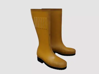 Rubber Boots 3D model