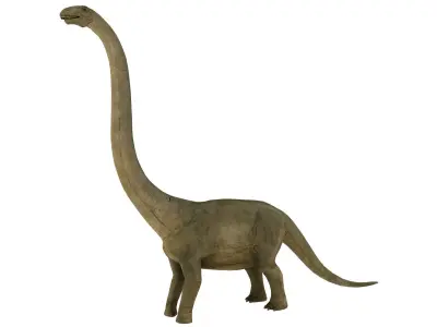 brontosaurus dinosaur Low-poly 3D model