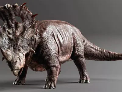 SINOCERATOPS Low-poly 3D model