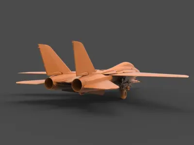 F-14 Tomcat 3D print model